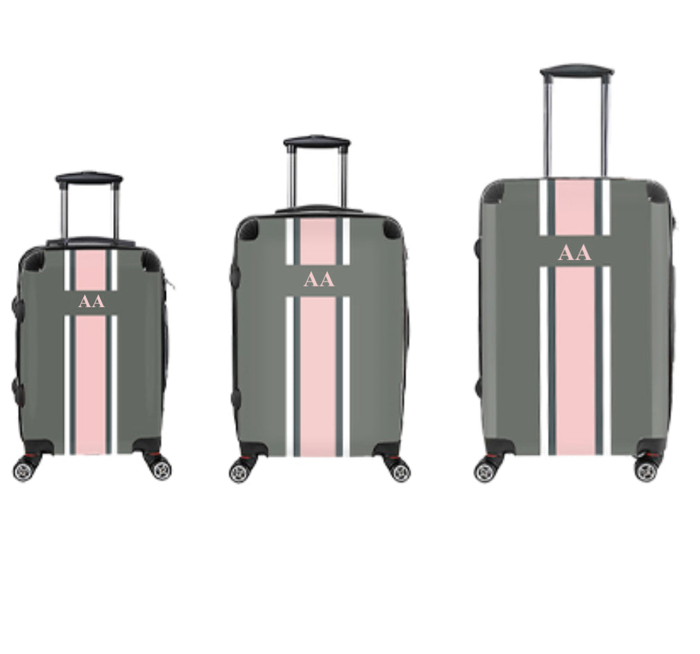 Danora Luggage with Grey and Pink