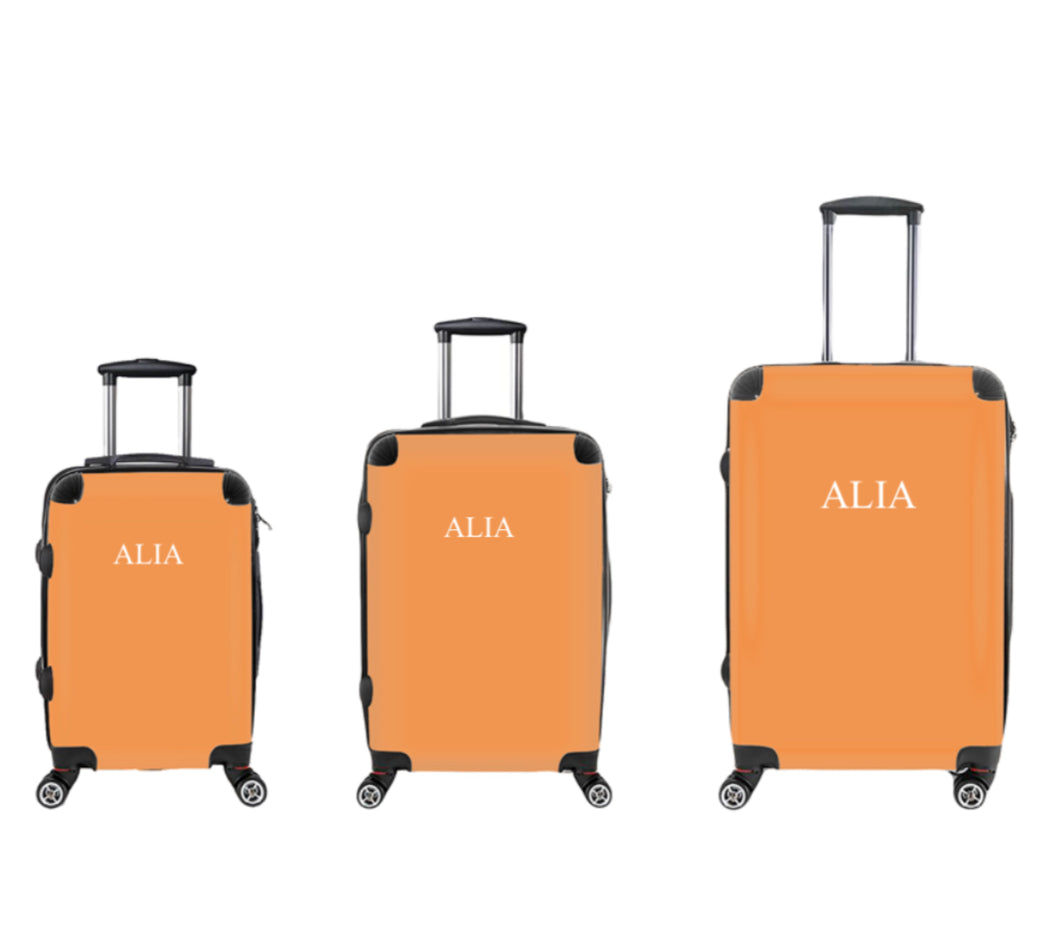 Danora Luggage in Orange