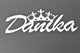 Acrylic Wall name - Silver Mirror Finish